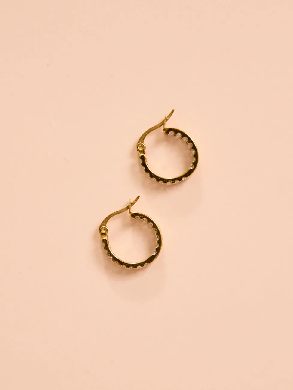 Arms of Eve Magenta Earrings in Stone