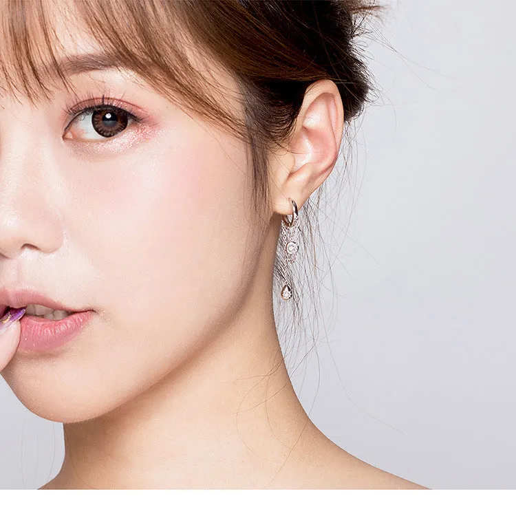 Earrings Sterling Silver Fashion Zircon Long Tassel Ear Studs