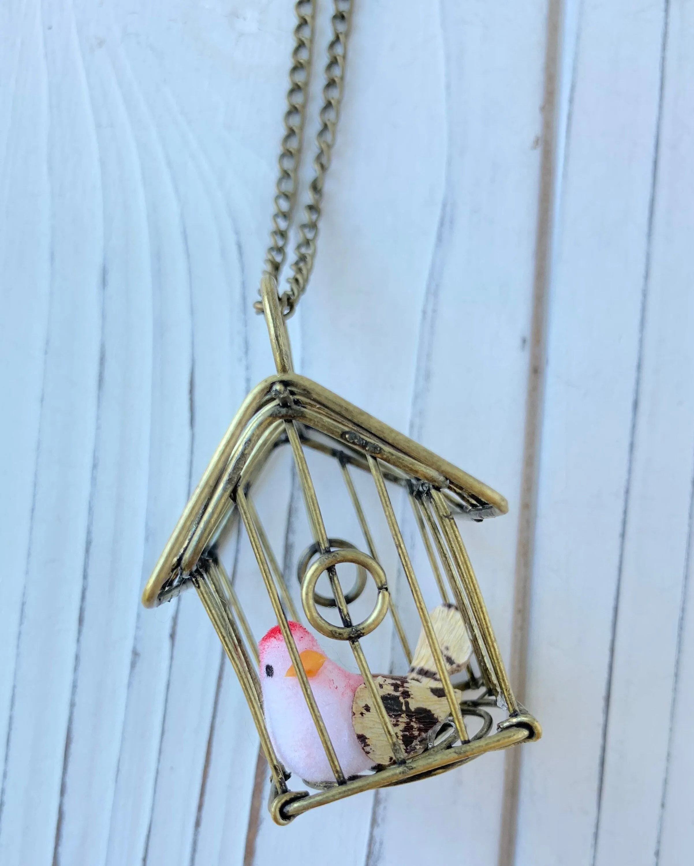Finch In A Cage Pendant Necklace