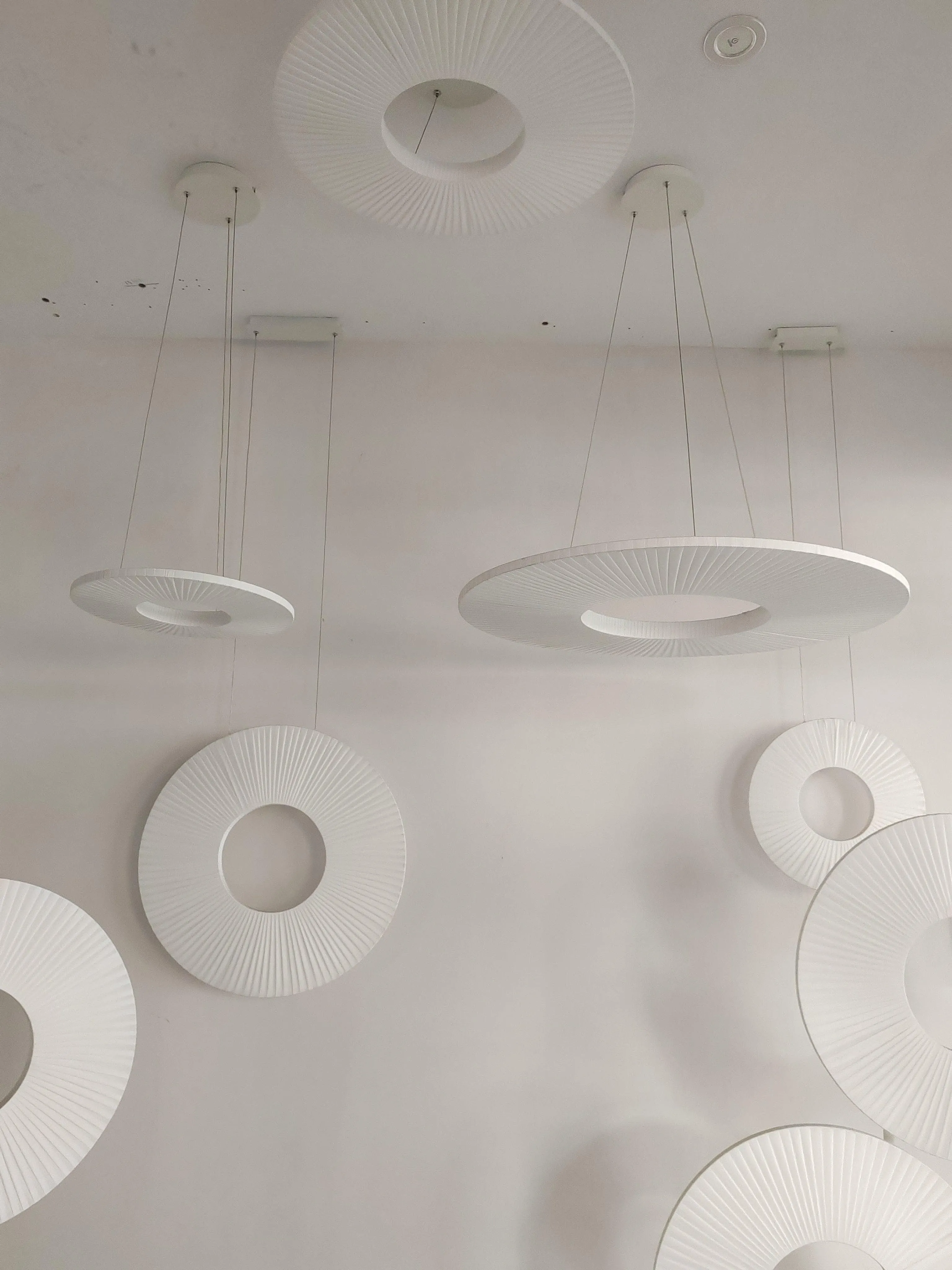 Iris Pendant Light