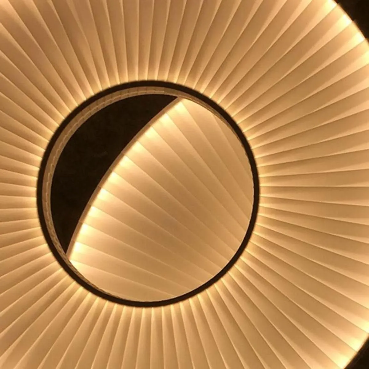 Iris Pendant Light