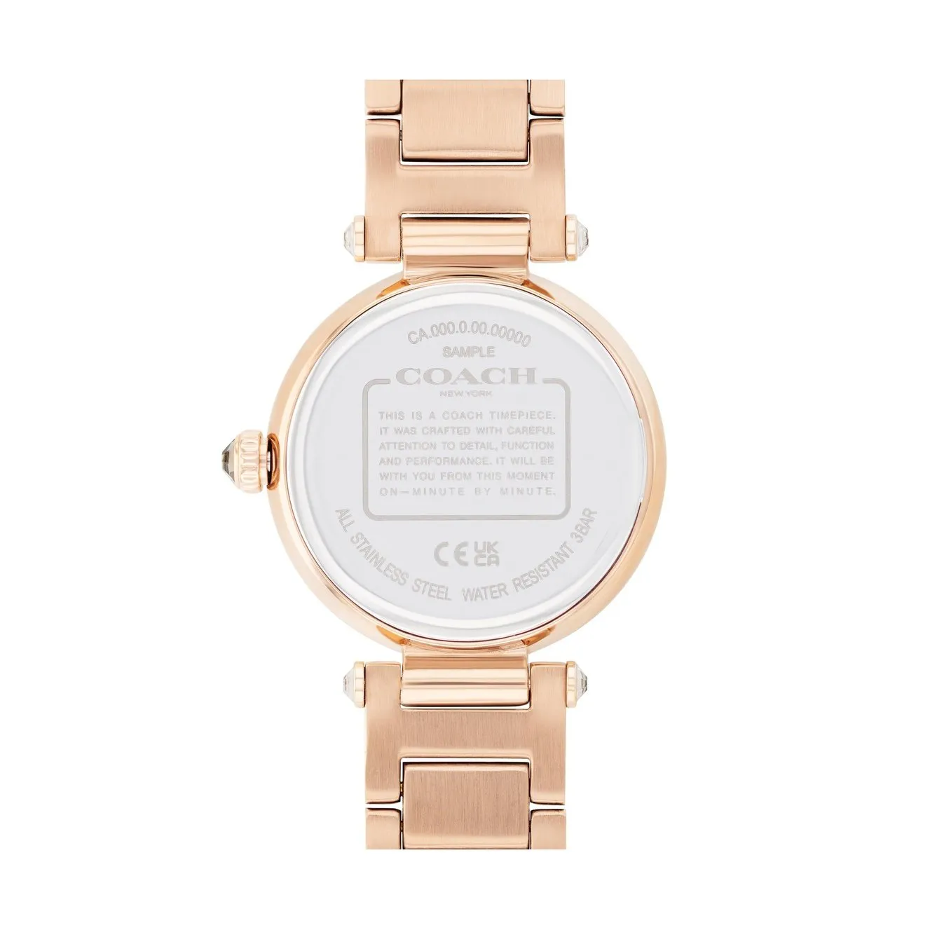 Ladies Cary Watch (14503994).