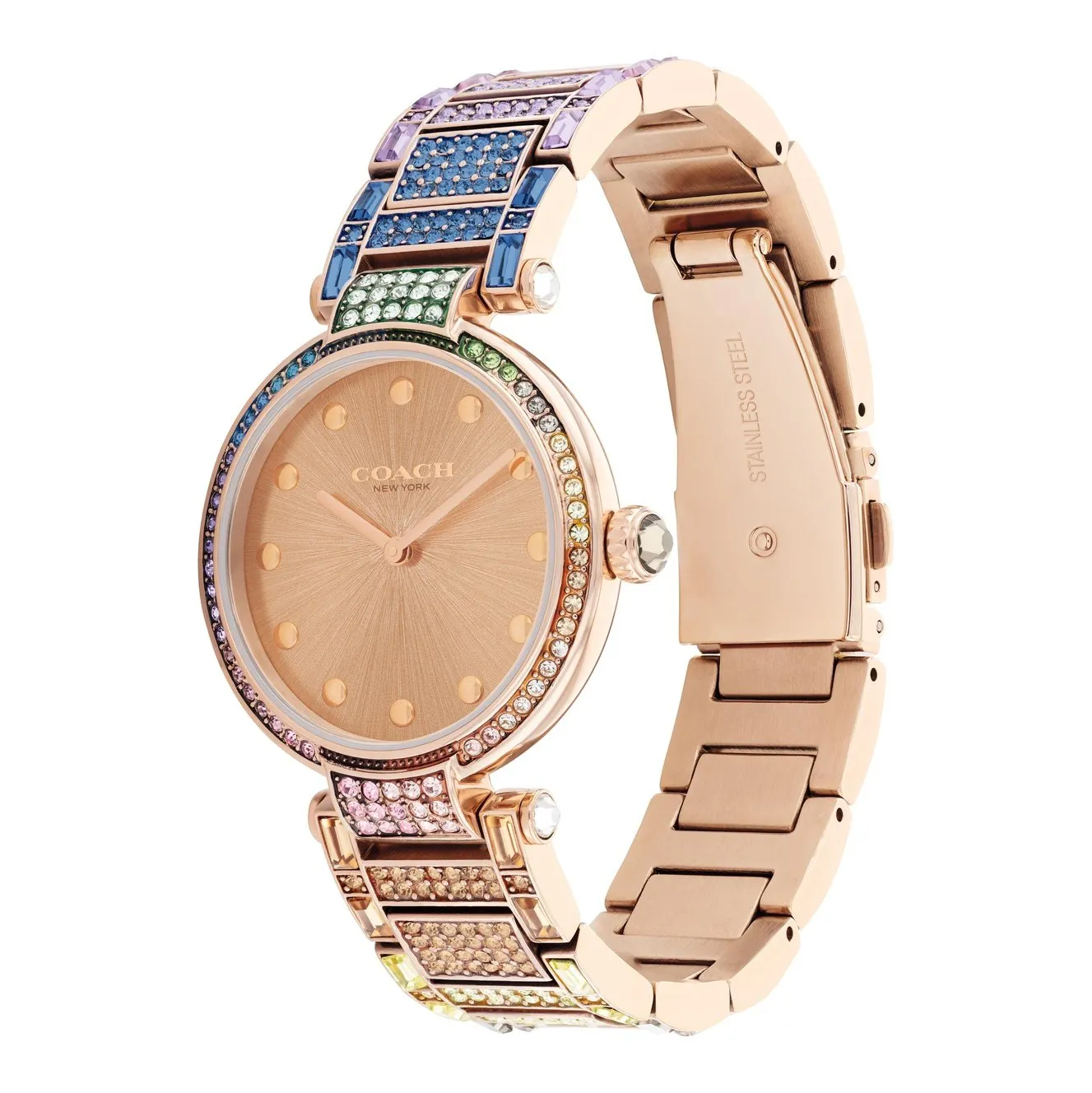 Ladies Cary Watch (14503994).