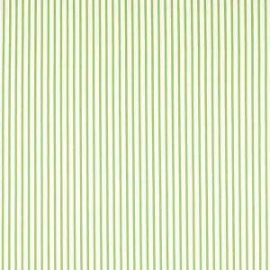 Ribbon Stripe Peridot Fabric