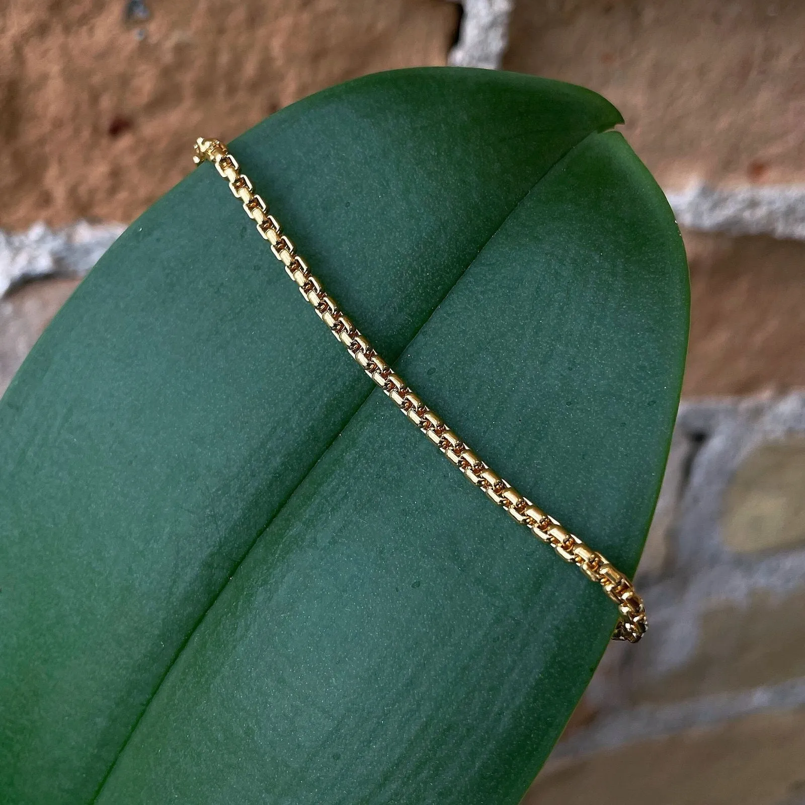 Rounded Box Chain Bracelet