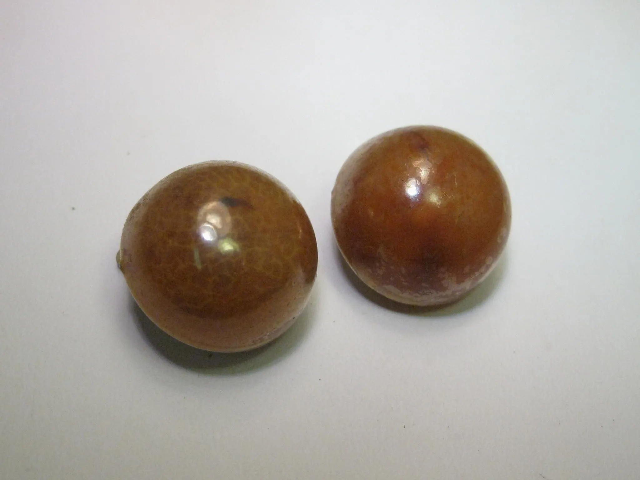 Vintage Domed Amber Stud Clip Earrings, Hong Kong, Resin or Celluloid - Bakelite - 3/4"